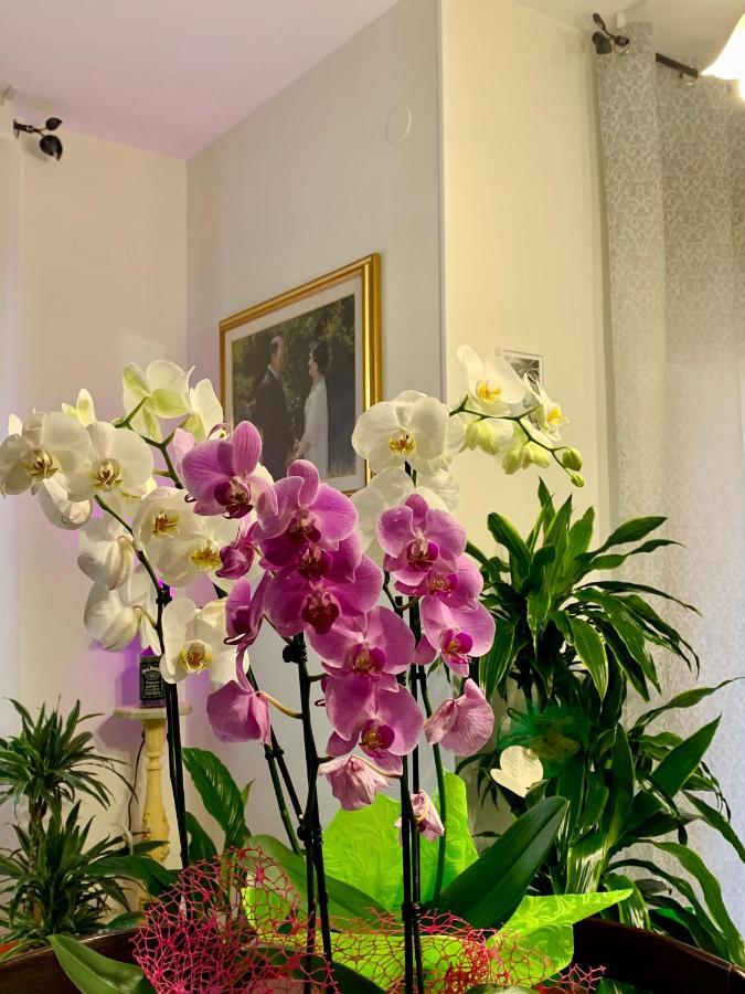 بارونيسي B&B Mariele المظهر الخارجي الصورة